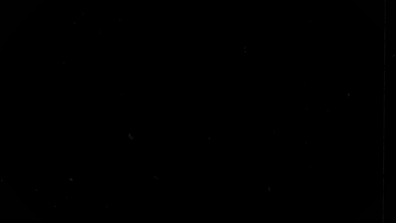 Animated GIF 2